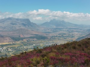 view of frans