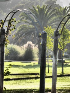 matetic grounds