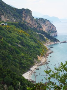 coastline 3