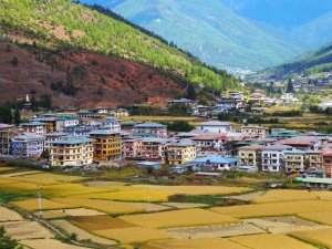 Paro