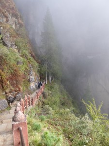 P1000412