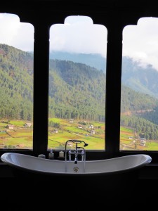 view from Gangtey Lodge