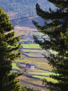 P1000846