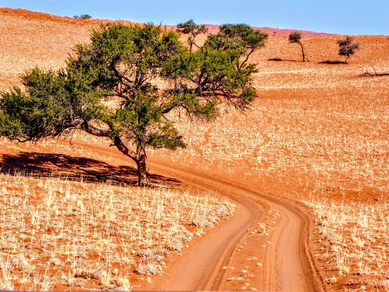 Featured image for “Follow Us Through Africa: Namibia and Zimbabwe”