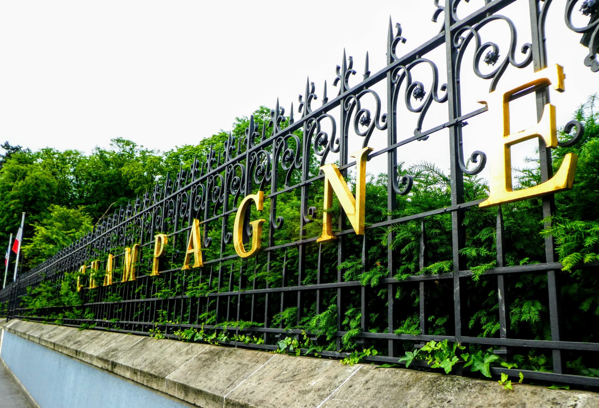 Featured image for “Drinking, Eating, and Bicycling Through Champagne”