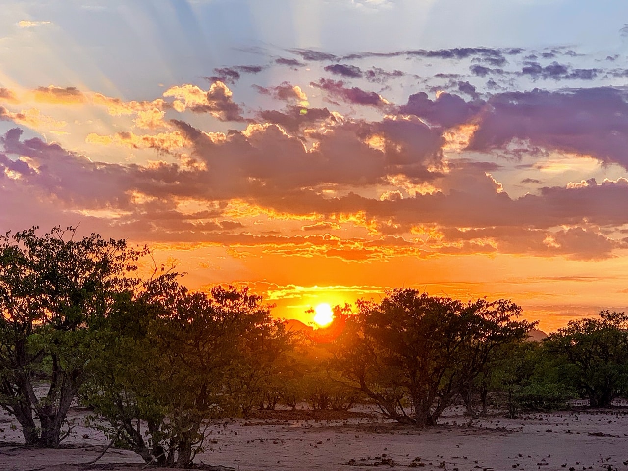 Featured image for “Our Journey Through Africa in 3 Minutes (Video)”
