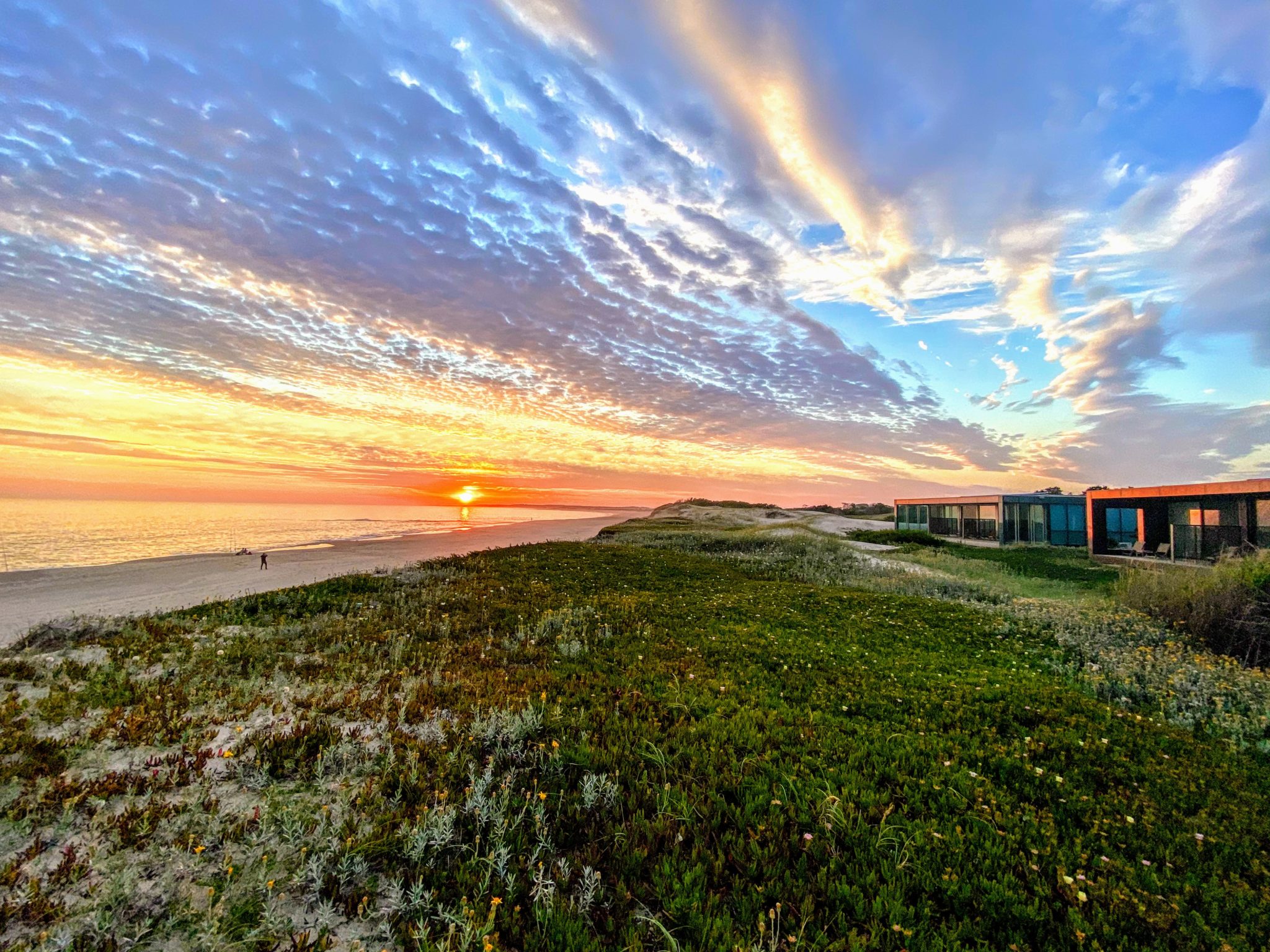 Featured image for “The Beaches, Wineries, and Cows of Uruguay”