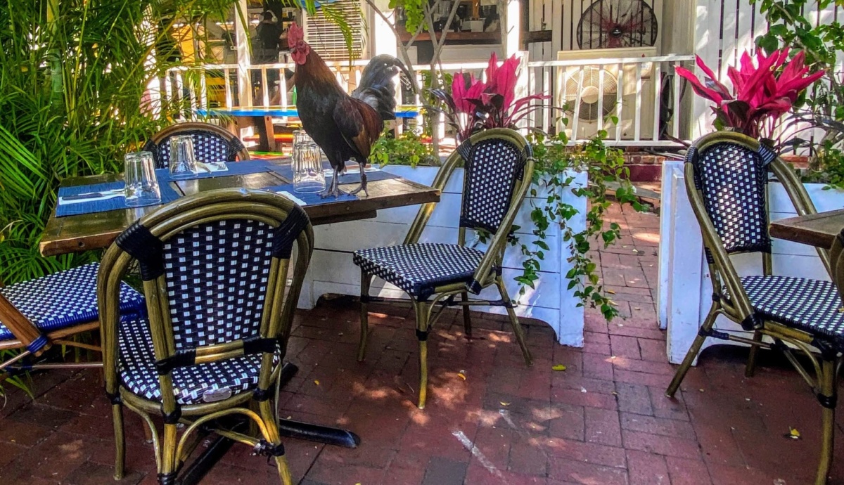 Featured image for “The Keys to Where to Stay, Snack, and Sunset in Key West”