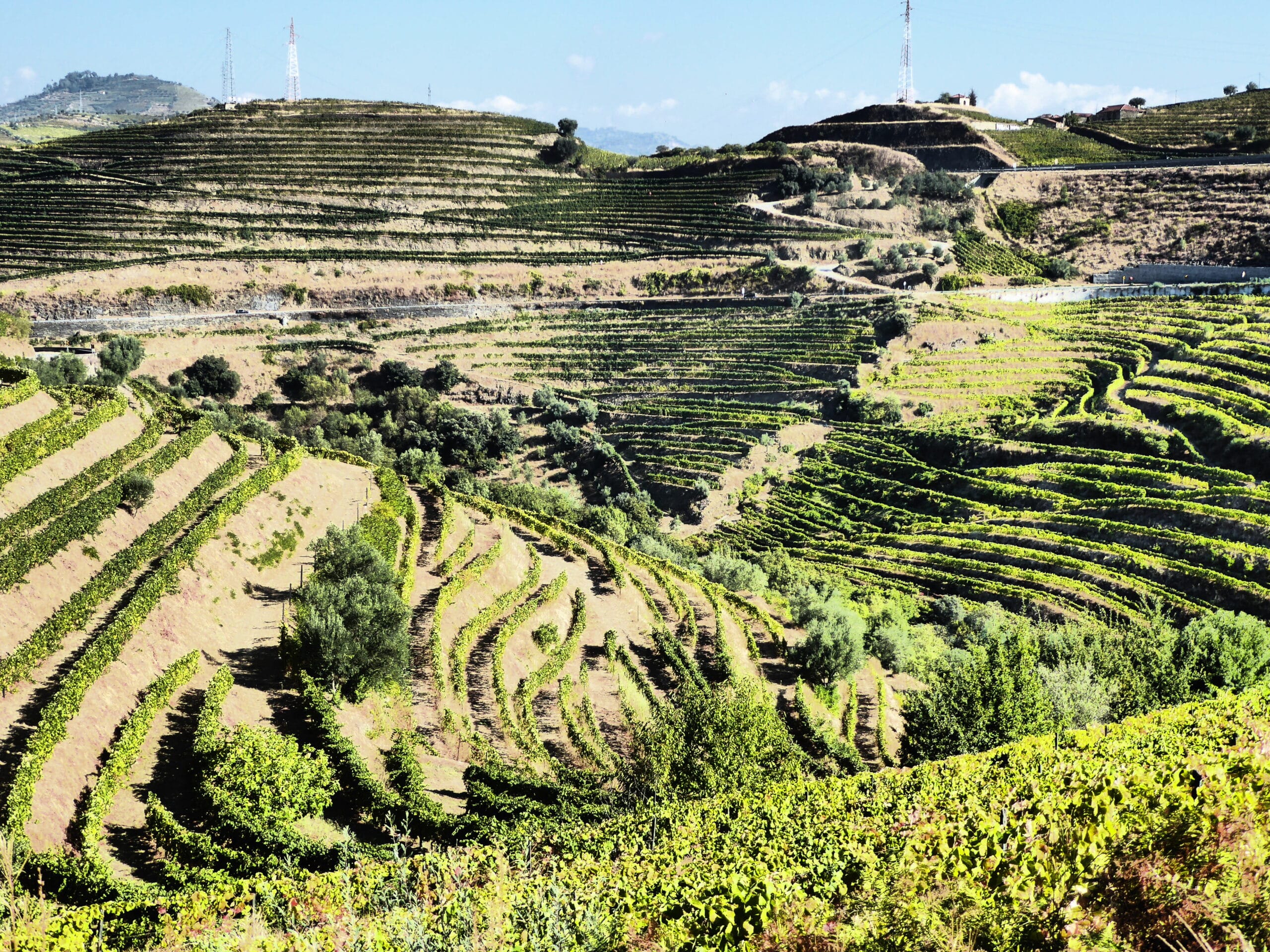 Featured image for “Portugal, from City to Country”