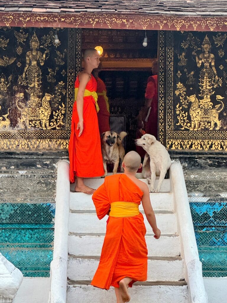 people in luang prabang
