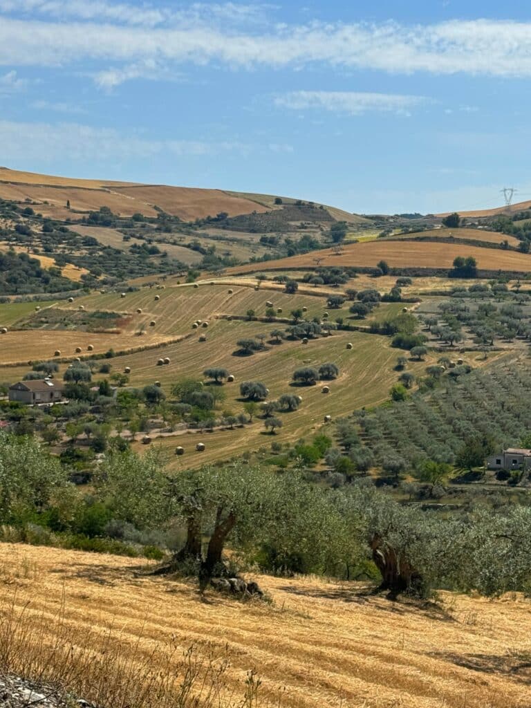 Rolling hills in Sicily